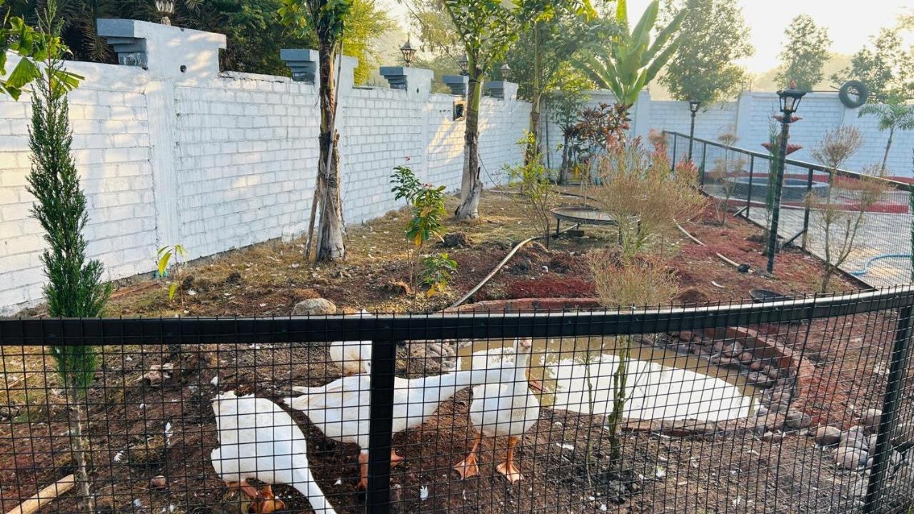 Fun O Farm Luxury Farm Villa إندور المظهر الخارجي الصورة